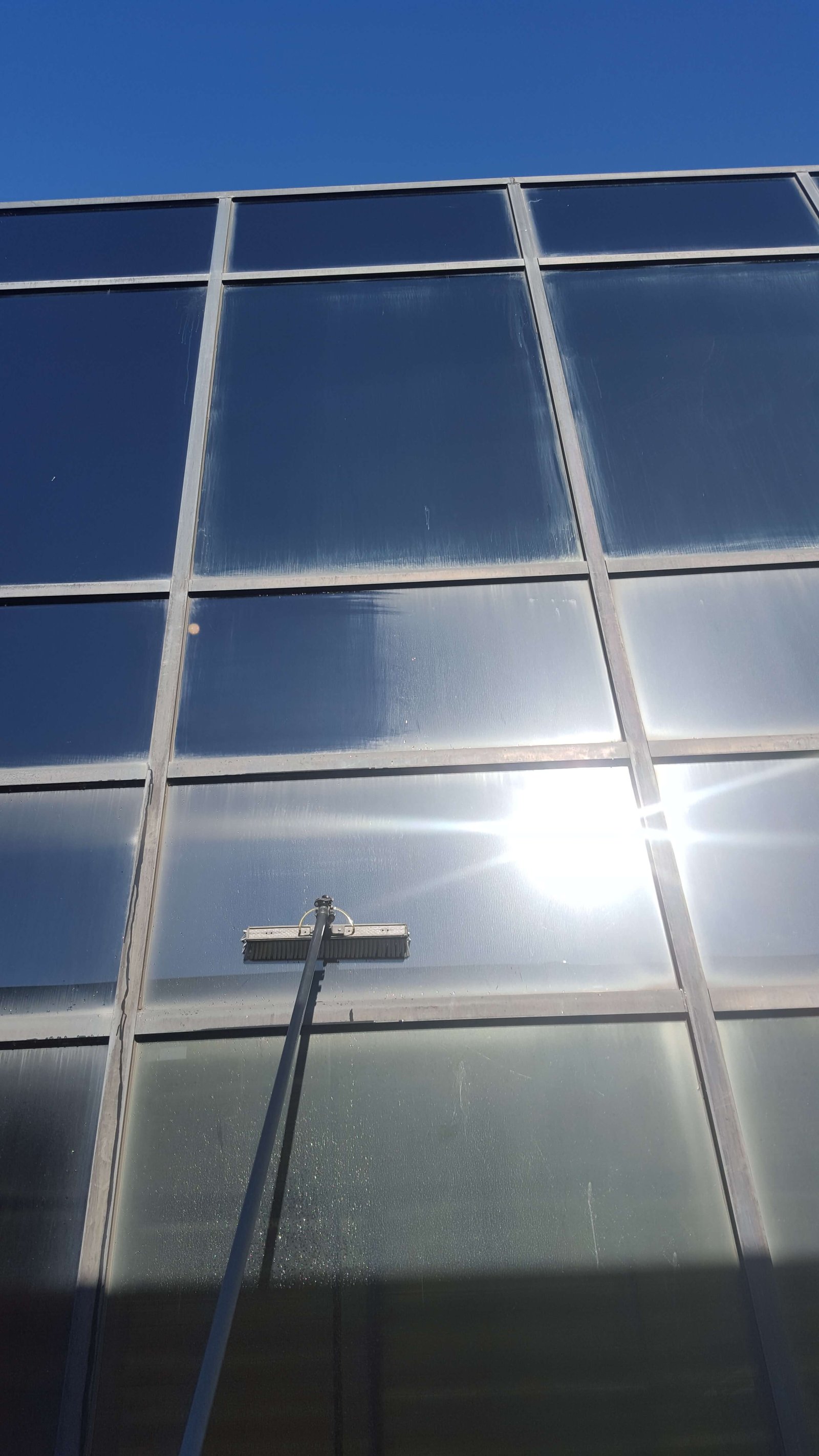 Commercial window cleaning on a glass office building using a water-fed pole system